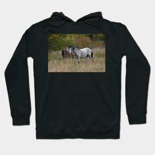 Wild Horses Hoodie